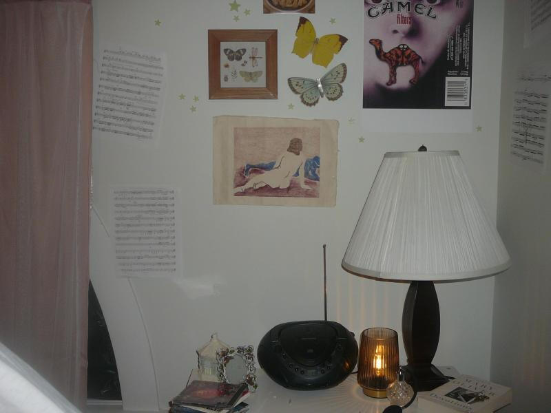nova's room - shelf details