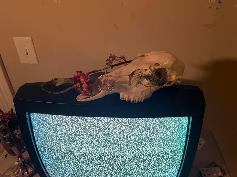 tv set dec - details